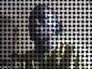 amar