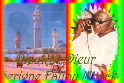 serigne bi